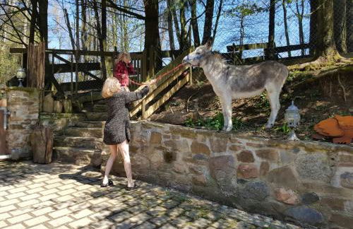 Funny-Farm - Foto 23