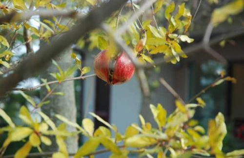 Villa immersa nei campi - Foto 60