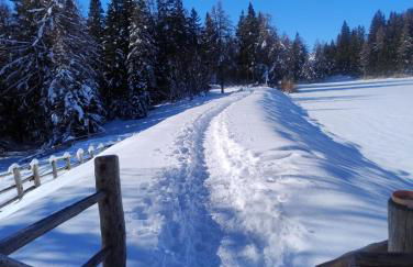 Casa vacanze Da Bianca - Photo 18