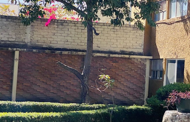 Rincòn Único Centrico - Foto 36