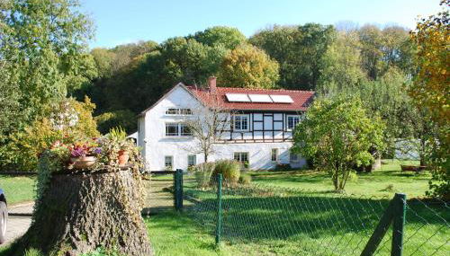 Ferienwohnung Obermühle - Photo 2