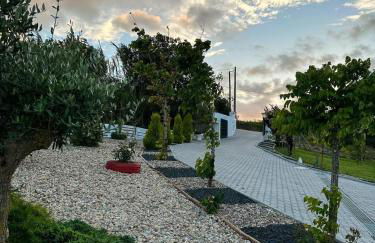 Alto do Moinho - Foto 22