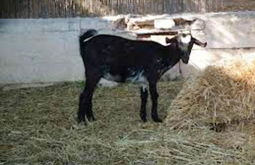 Charming House in Estepa with Mountain View - Photo 20