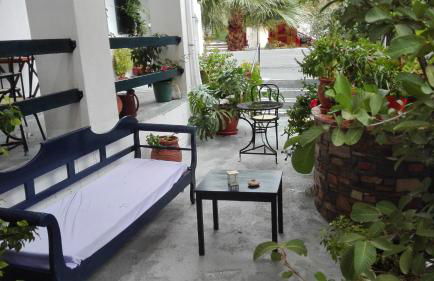 Plumeria Flowery - Foto 31