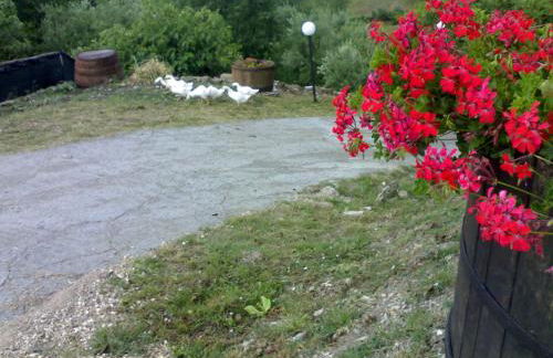 Aia di Lazzaro Agriturismo - Foto 43