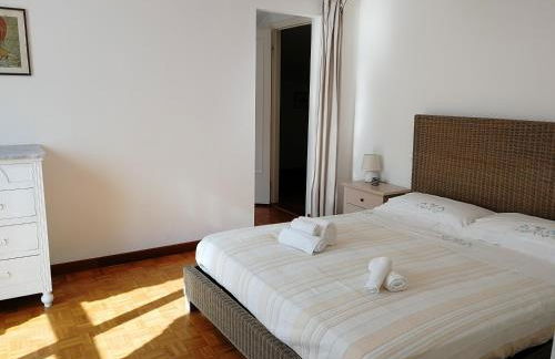 I tulipani - Foto 27