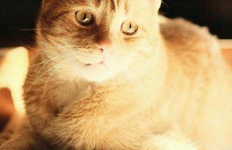 Stara Stolarnia - Foto 41