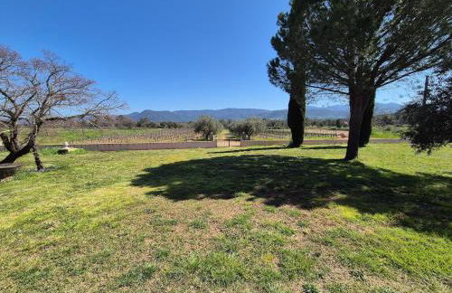 Villa in Le Luc with Pool & Vineyard Views - Foto 19