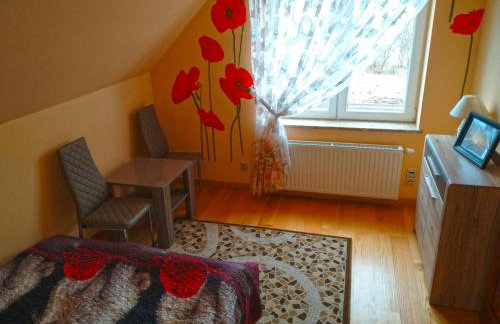 Willa Raj - Apartamenty nad jeziorem KA-BOATS - Foto 78