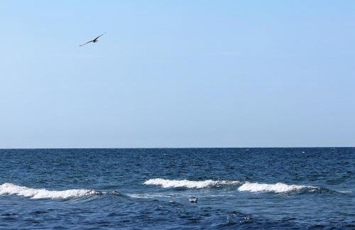 Möve Aba Bungalow 64 - Photo 15