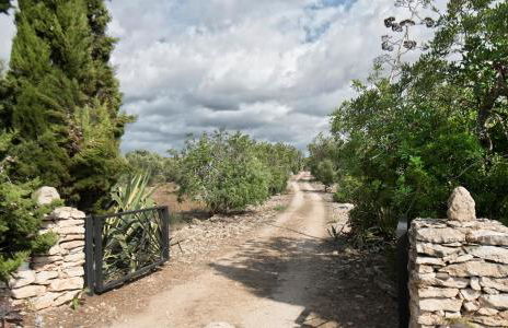 Finca Jabali - Foto 46