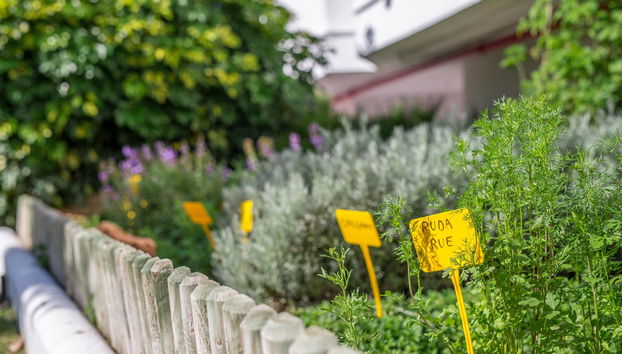 Sahara Sunset - Foto 2