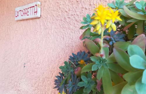 "IL CASALE DEI GIRASOLI" Country House in Capalbio - Foto 24