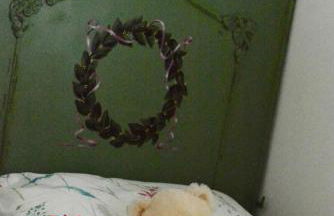 A unique, off-grid Eco Friendly Beach House. - Foto 18