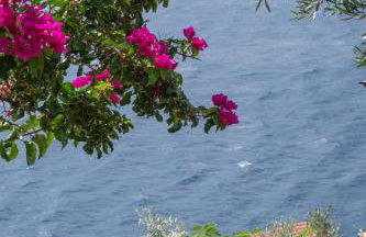 Agrilia Koromili Retreat - Foto 36