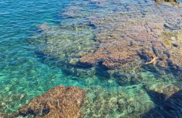 Salve Vista Mare - Photo 15