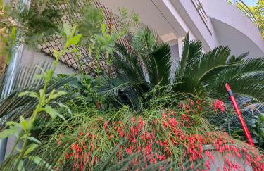 Apartmani Marinović - Foto 21