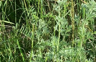 Val d'Azur Plein sud Face aux Pistes - Foto 22