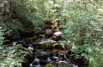 La Casa de Consuelo 3 - Foto 47