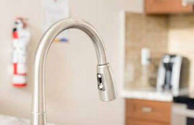 Harrison Lake Pets Welcome 3BR Suite - Photo 18