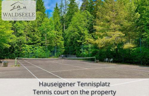 Exklusives 5-Sterne Apartment Waldseele mit Indoor-Pool, Sauna, top Lage und Ausblick in die Natur, Hunde willkommen - Foto 19