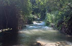 CASA RURAL CASCO ANTIGUO - Photo 50