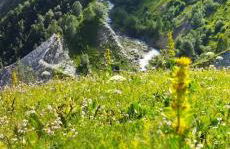 Saint-Sorlin D'Arves pied des pistes 310km de pistes tous niveaux - Photo 34