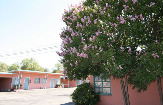 The New Star Motel with Studio-Kitchens: 1950s Extended-Stay Lodging and Retreat Center - Photo 73