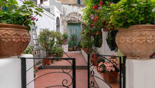 Il gatto Franco - Foto 5