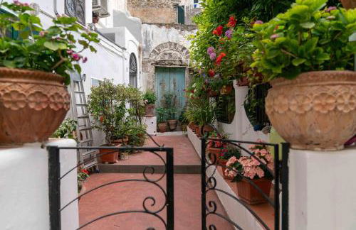 Il gatto Franco - Photo 5