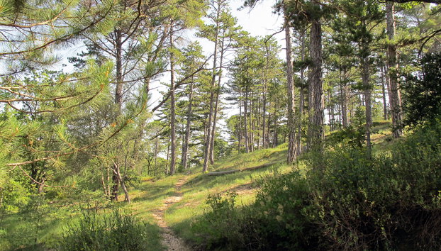Domaine de Château Laval - Foto 5, Outdoor
