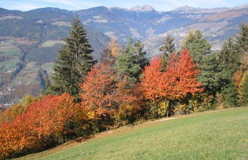 Agriturismo Ferienhof Gschloier - Adults Only - Photo 29