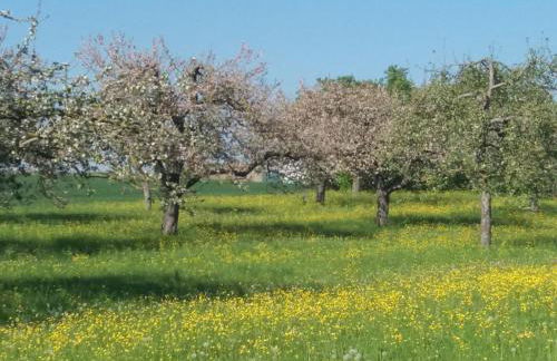 Monteurwohnung Ferienhof Arold - Photo 4
