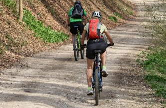 Ferienhaus Sauerlandtraum - Foto 15