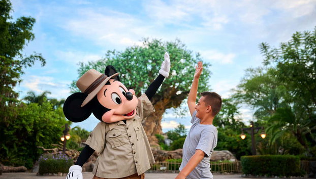 Oferta: Entrada de 4 días a los 4 Parques de Walt Disney World - Foto 3, Conoceréis a vuestros Personajes favoritos
