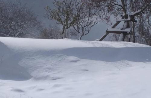 Agriturismo La Casina della Burraia - Foto 25