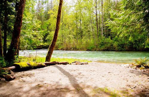 Tony's Riverside Oasis - Foto 34