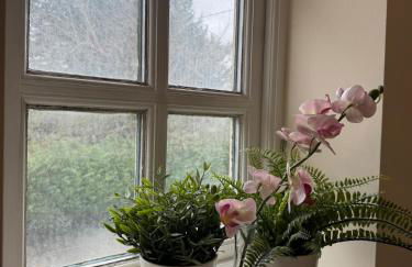 Cosy Rural Retreat Perfect for Families and Pets - Foto 37