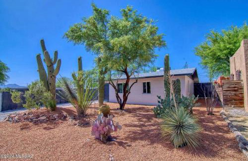 UofA Desert Hollywood - Foto 11