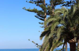 APARTAMENTO EN "BELBEDERE IN" DENIA a 10 METROS DE LA PLAYA - Foto 20