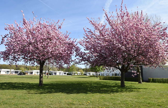 Villa in Harderwold With Garden - Foto 31