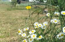 DoWielina - domki wśród natury - Foto 2