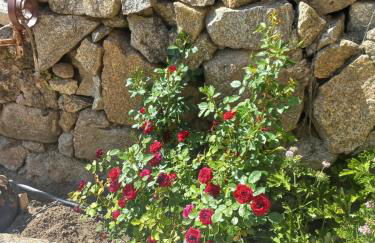 EL PATIO DE LAS TINAJAS - Photo 18