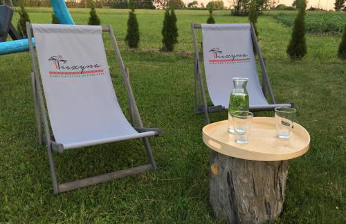 Dom na Starym Gościńcu Tiszyna - Foto 13