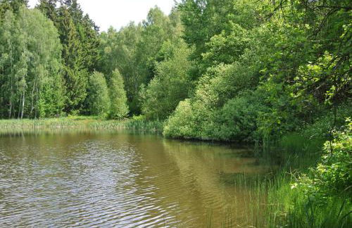 Ferienwohnungen Treseburg "Zur Bodehexe" - Foto 33