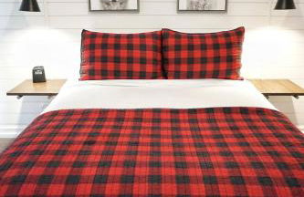 Fox Den- Pet Friendly Suite in Shaver Lake - Photo 3