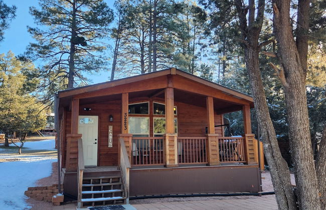 Old County Pine - Photo 35