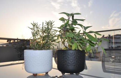 Habitat Lobby - Foto 1