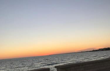 Mare Nostrum TF - Foto 33