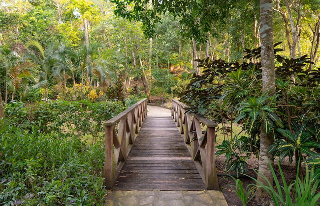 Hacienda La Huerta - Photo 31